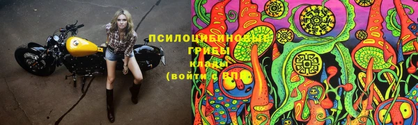 мет Надым