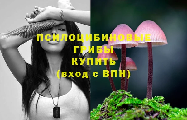 мет Надым